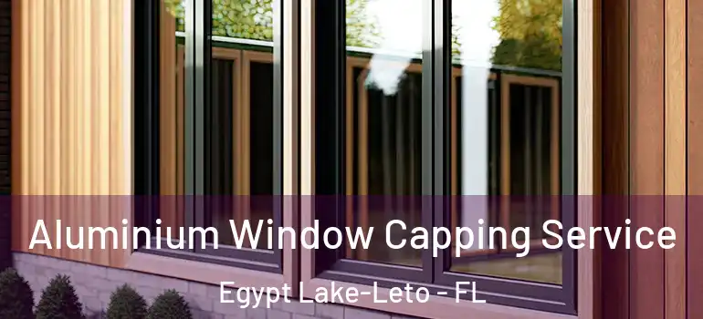 Aluminium Window Capping Service Egypt Lake-Leto - FL