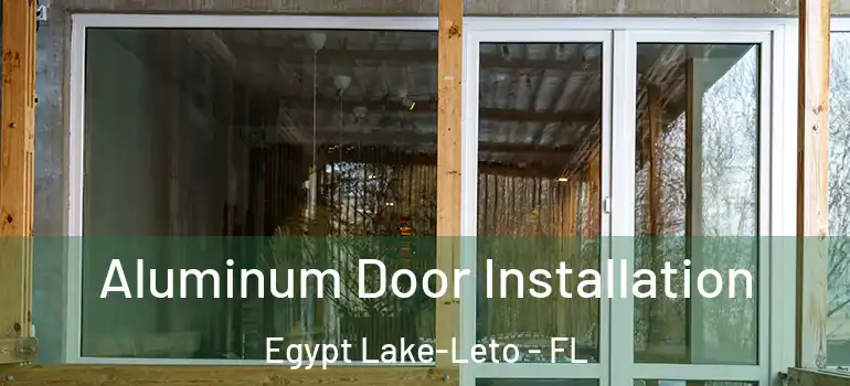 Aluminum Door Installation Egypt Lake-Leto - FL