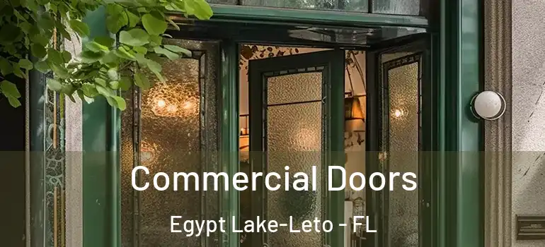 Commercial Doors Egypt Lake-Leto - FL