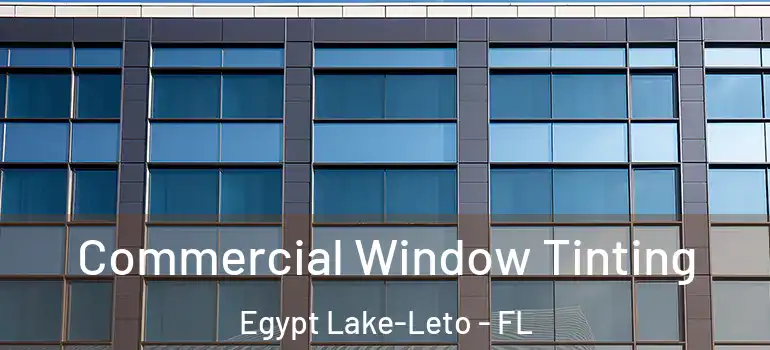  Commercial Window Tinting Egypt Lake-Leto - FL