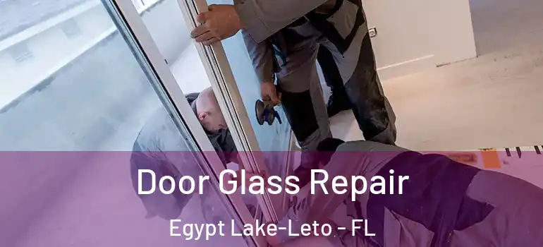 Door Glass Repair Egypt Lake-Leto - FL