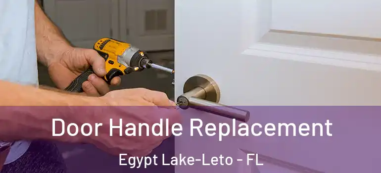 Door Handle Replacement Egypt Lake-Leto - FL