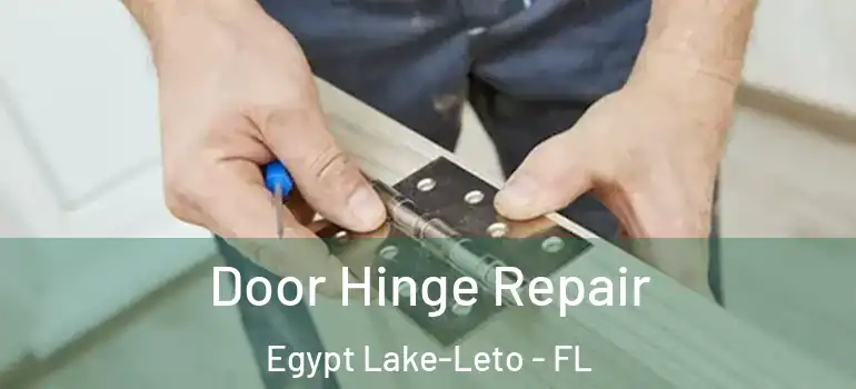 Door Hinge Repair Egypt Lake-Leto - FL