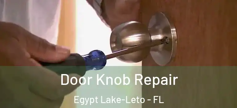 Door Knob Repair Egypt Lake-Leto - FL