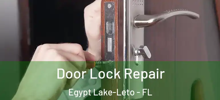 Door Lock Repair Egypt Lake-Leto - FL