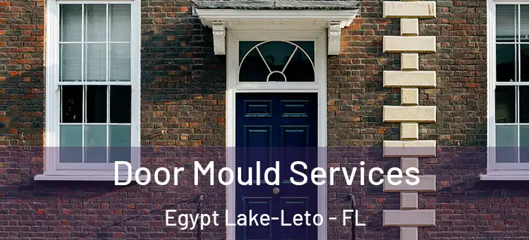 Door Mould Services Egypt Lake-Leto - FL
