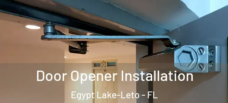 Door Opener Installation Egypt Lake-Leto - FL