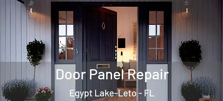 Door Panel Repair Egypt Lake-Leto - FL