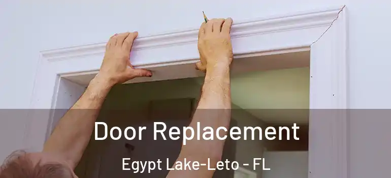  Door Replacement Egypt Lake-Leto - FL
