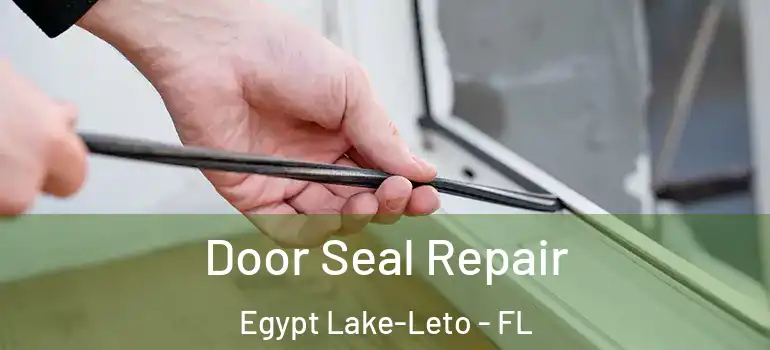 Door Seal Repair Egypt Lake-Leto - FL