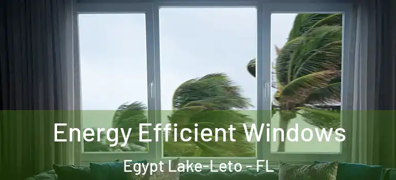 Energy Efficient Windows Egypt Lake-Leto - FL