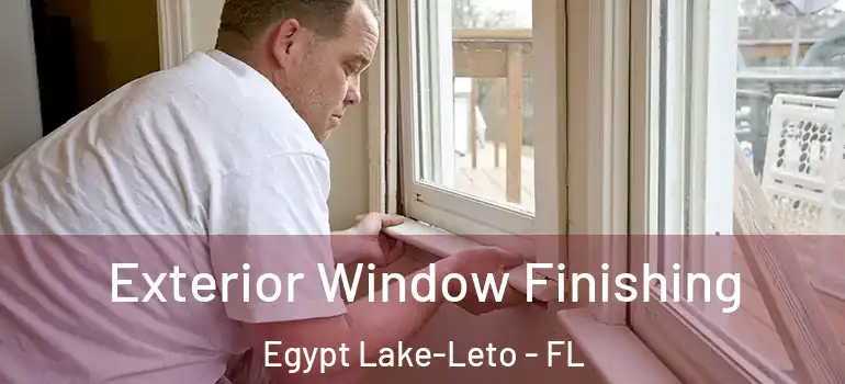 Exterior Window Finishing Egypt Lake-Leto - FL