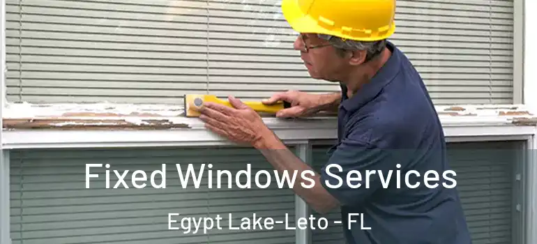 Fixed Windows Services Egypt Lake-Leto - FL