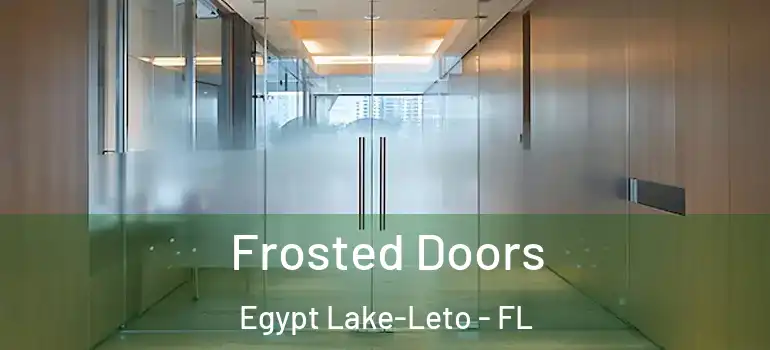 Frosted Doors Egypt Lake-Leto - FL