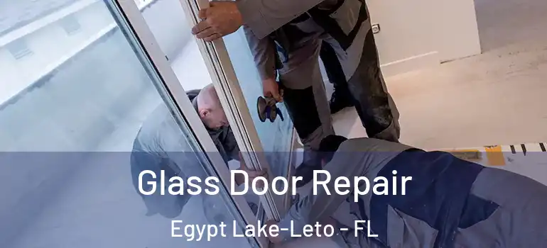 Glass Door Repair Egypt Lake-Leto - FL