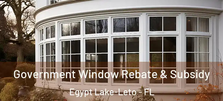 Government Window Rebate & Subsidy Egypt Lake-Leto - FL