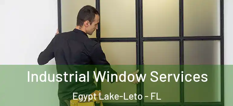 Industrial Window Services Egypt Lake-Leto - FL