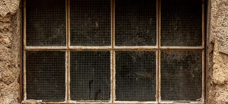 Traditional Double Front Doors in Egypt Lake-Leto, FL