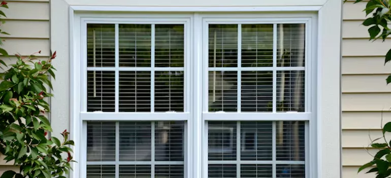 Custom Double Hung Windows in Egypt Lake-Leto, FL