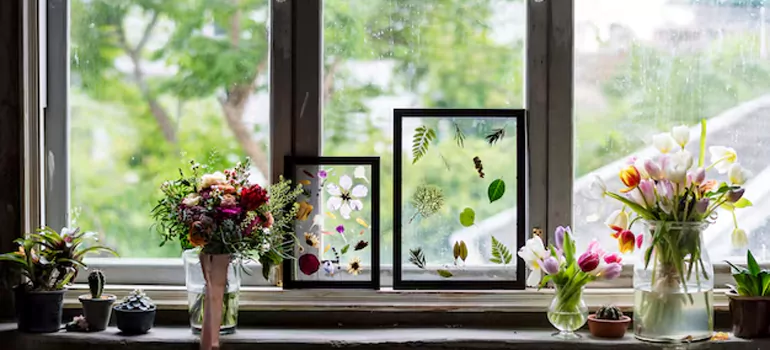 Professional Garden Window Repair in Egypt Lake-Leto, FL