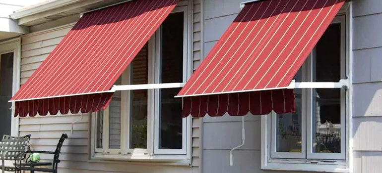 Government Rebate Window Replacement in Egypt Lake-Leto, FL