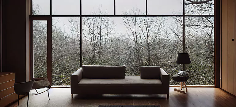 Casement Picture Window in Egypt Lake-Leto, FL