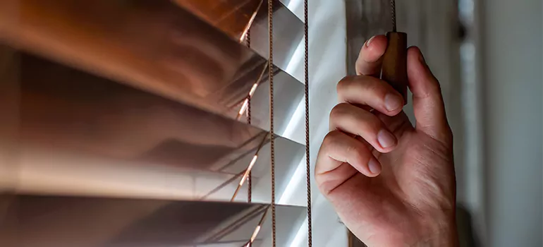 Double Roller Blinds in Egypt Lake-Leto, FL