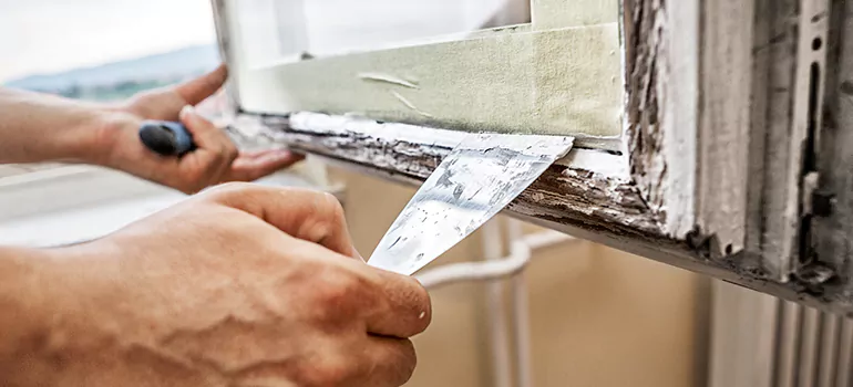 Exterior Window Frame Repair in Egypt Lake-Leto, FL