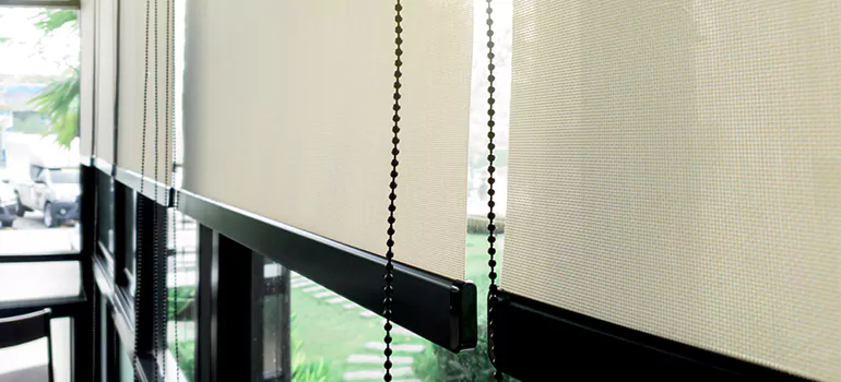 Blackout Window Shades in Egypt Lake-Leto, FL