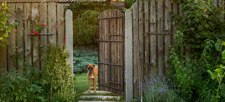 Winter Garden Garage Door Repair in Egypt Lake-Leto,[location field=state]