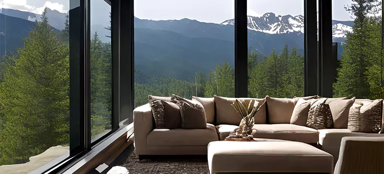 Picture Window Maintenance in Egypt Lake-Leto, FL