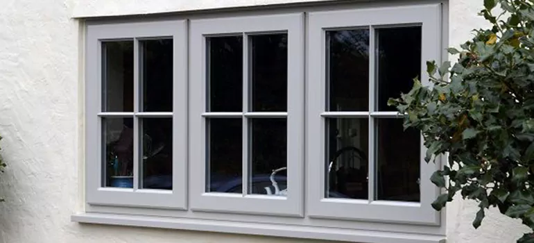 Stormproof Windows With Tinted Glass Services in Egypt Lake-Leto, FL