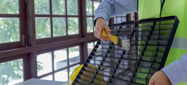 Traditional Window Grille Installation Options in Egypt Lake-Leto, FL