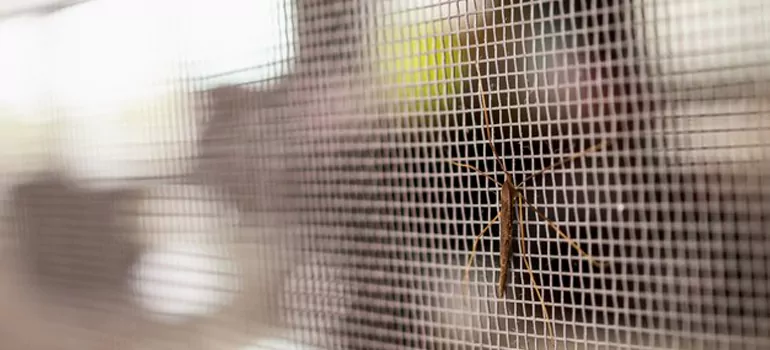 Repair Mosquito Mesh For Windows in Egypt Lake-Leto, FL