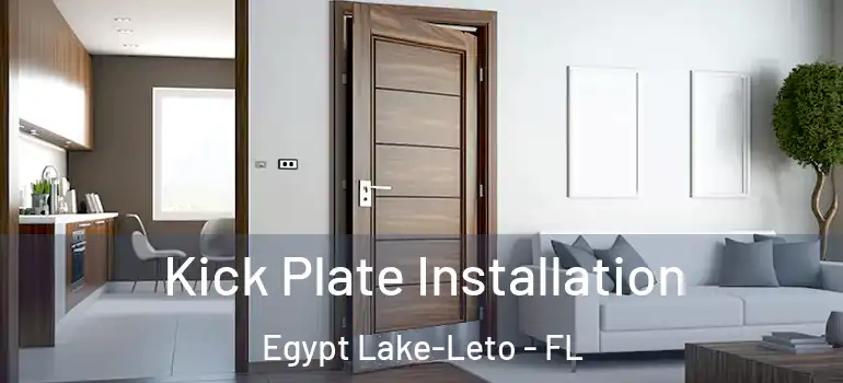 Kick Plate Installation Egypt Lake-Leto - FL