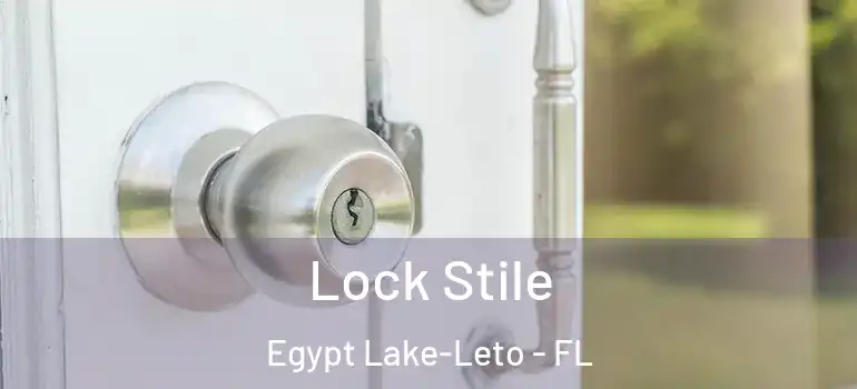  Lock Stile Egypt Lake-Leto - FL