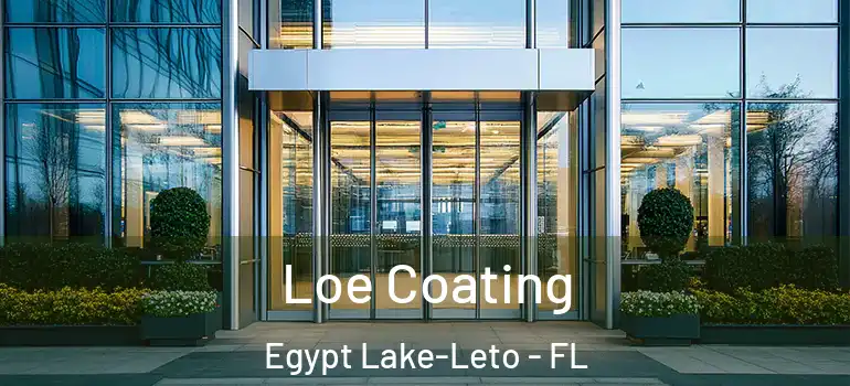  Loe Coating Egypt Lake-Leto - FL