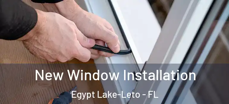 New Window Installation Egypt Lake-Leto - FL