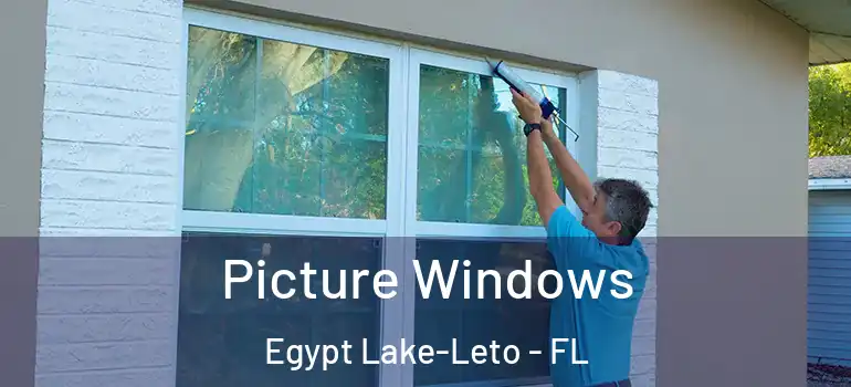  Picture Windows Egypt Lake-Leto - FL