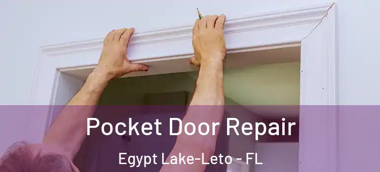 Pocket Door Repair Egypt Lake-Leto - FL