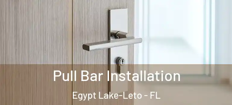 Pull Bar Installation Egypt Lake-Leto - FL