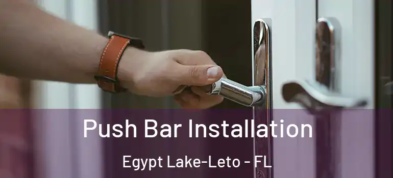 Push Bar Installation Egypt Lake-Leto - FL
