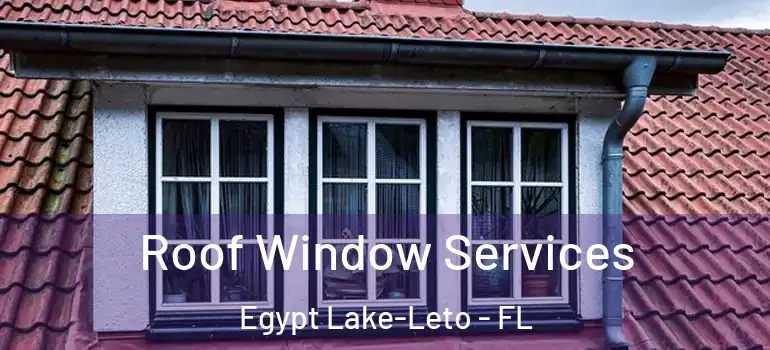 Roof Window Services Egypt Lake-Leto - FL