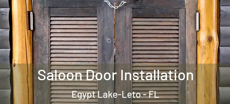 Saloon Door Installation Egypt Lake-Leto - FL