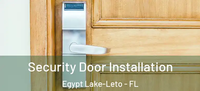 Security Door Installation Egypt Lake-Leto - FL