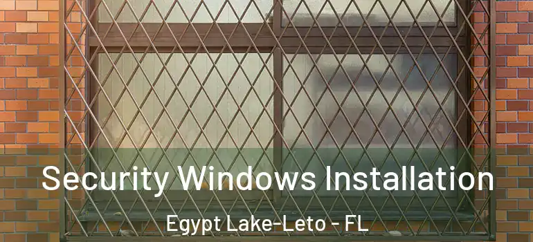 Security Windows Installation Egypt Lake-Leto - FL