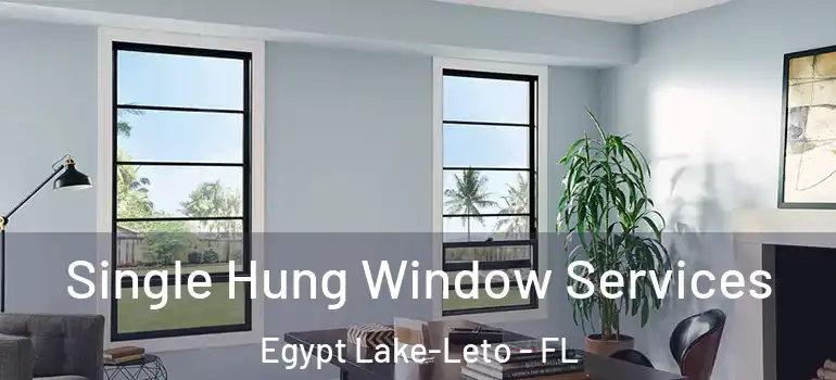  Single Hung Window Services Egypt Lake-Leto - FL