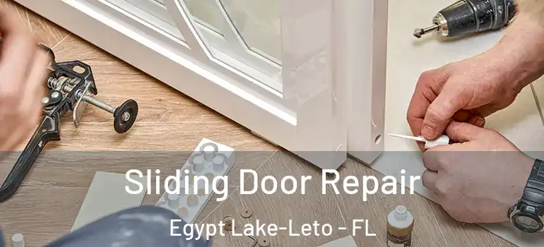 Sliding Door Repair Egypt Lake-Leto - FL