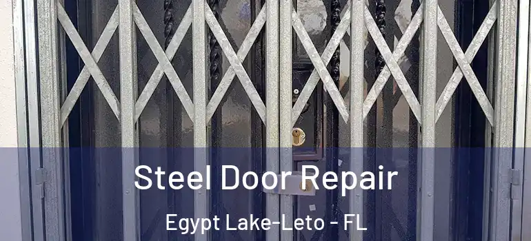 Steel Door Repair Egypt Lake-Leto - FL