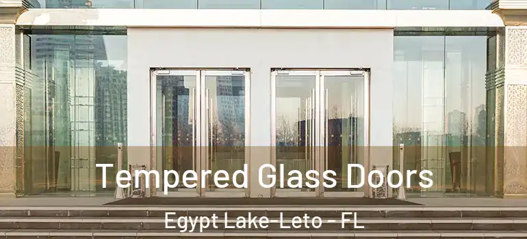 Tempered Glass Doors Egypt Lake-Leto - FL